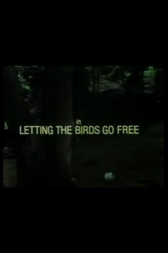 Poster for Letting the Birds Go Free