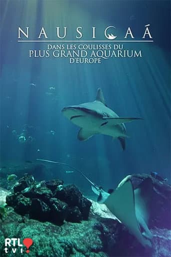 Poster for Nausicaá : Dans les coulisses du plus grand aquarium d'Europe