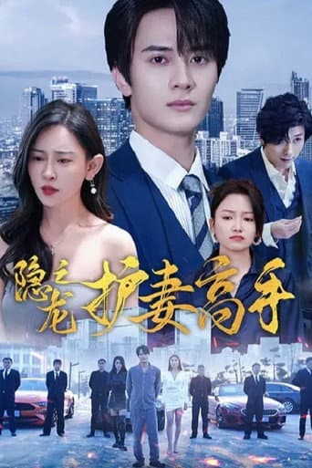 Poster for 隐龙之护妻高手