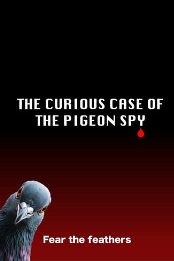 Poster for The Curious Case of the Pigeon Spy