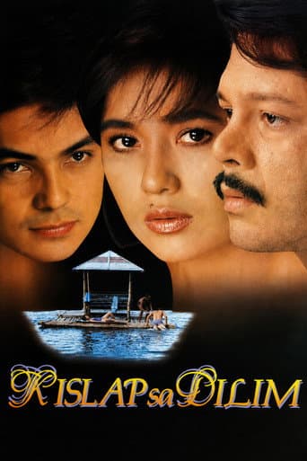 Poster for Spark in the Dark