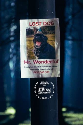 Poster for Mr. Wonderful