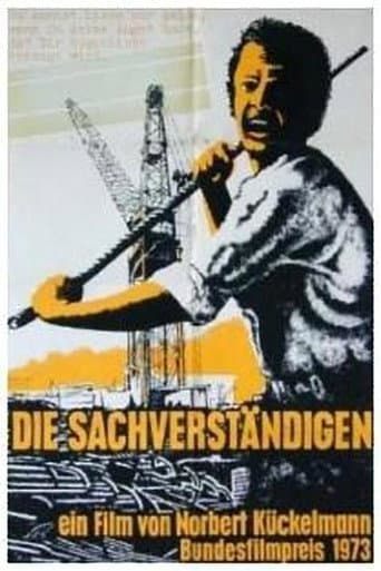 Poster for The Experts