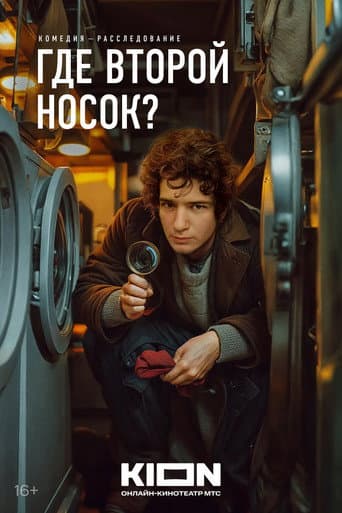 Poster for Where’s the Other Sock?