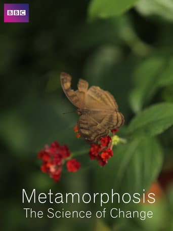 Poster for Metamorphosis: The Science of Change