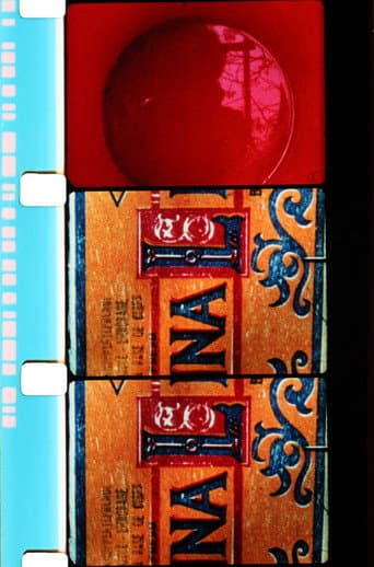 Poster for Mesures de miel et de lait sauvage