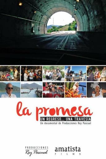 Poster for La promesa