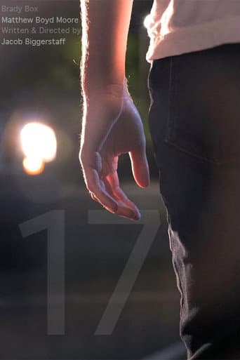 Poster for 17