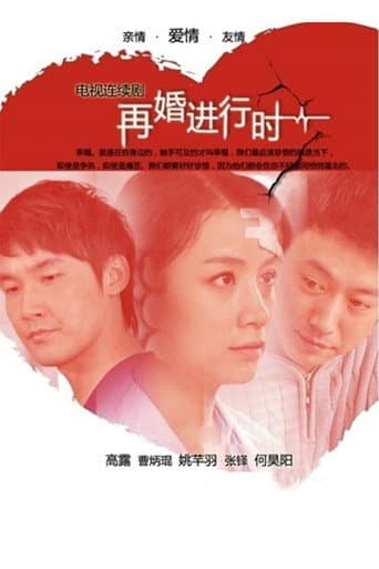 Poster for 再婚进行时