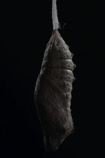 Poster for Ice Queen