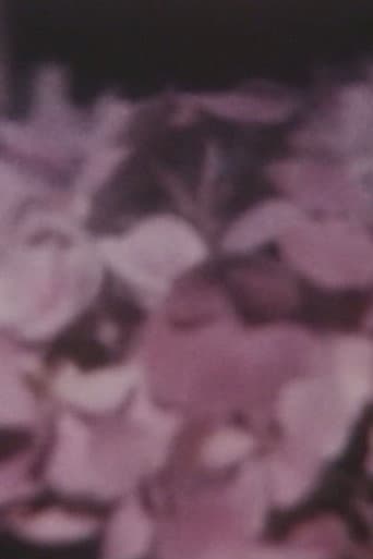 Poster for TOKIMEKI, DOKKIN