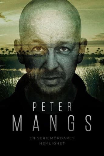 Poster for Under the Radar: Secrets of a Swedish Serial Killer