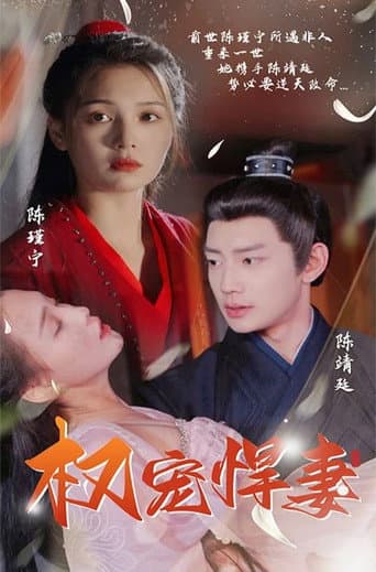Poster for 权宠悍妻
