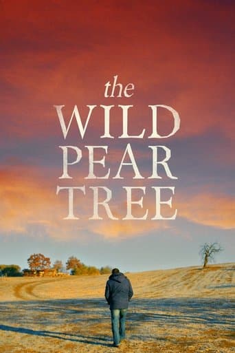 Poster for The Wild Pear Tree