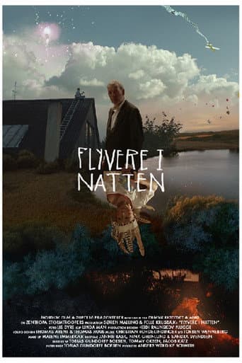 Poster for Planes in the Night