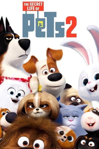 Poster for The Secret Life of Pets 2