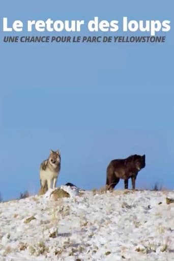 Poster for The Return of the Wolves: The Miracle in Yellowstone National Park