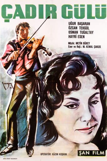 Poster for Çadır Gülü