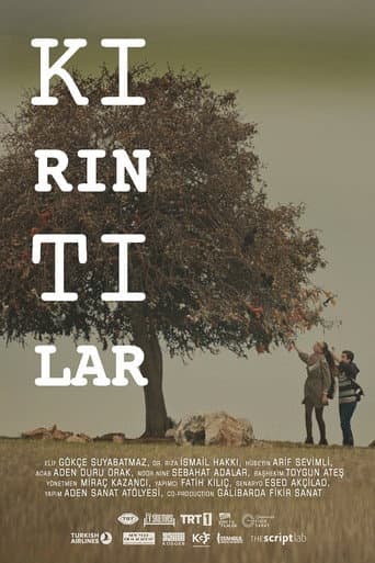 Poster for Kırıntılar