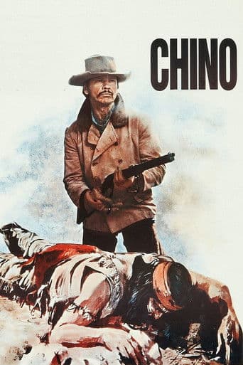 Poster for The Valdez Horses