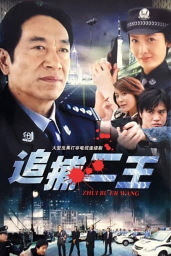 Poster for 追捕二王