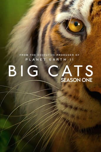 Poster for Miniseries