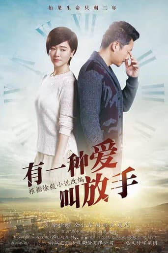 Poster for 家年华