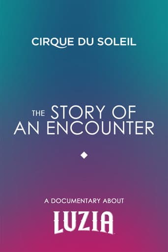 Poster for The Story Of An Encounter