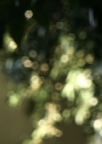 Poster for Glimmering