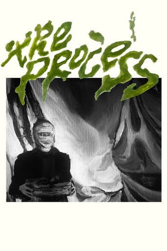 Poster for The Process