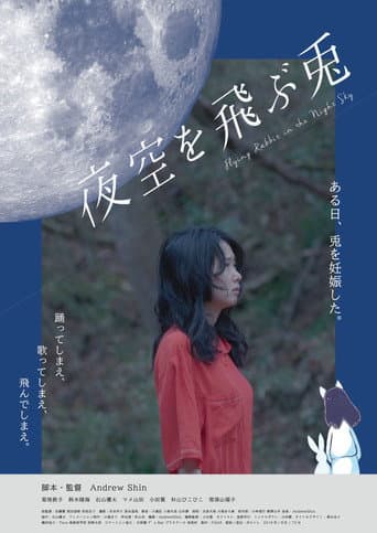 Poster for Flying Rabbit in the Night Sky