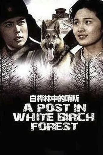 Poster for A Post in White Birch Forest