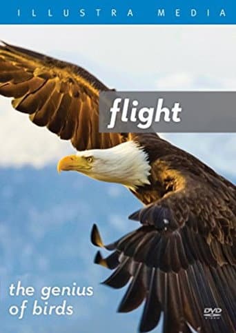 Poster for Flight: The Genius of Birds