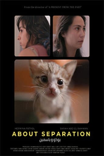 Poster for About Separation