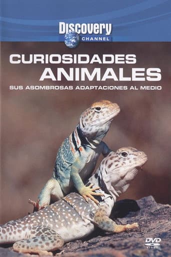 Poster for Wild Weird Animals