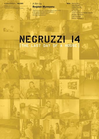 Poster for Negruzzi 14
