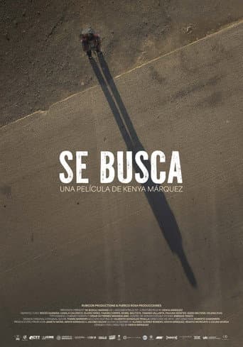 Poster for Missing