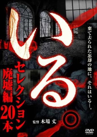 Poster for 「Iru.」Serekushon Haikyo-hen 20-hon