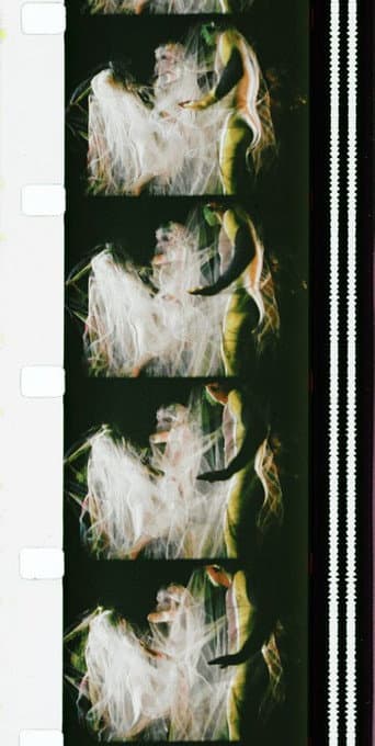 Poster for Chrysalis