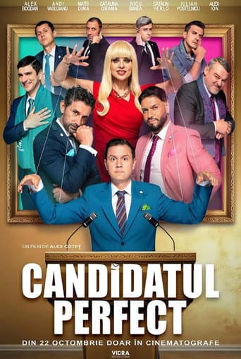 Poster for The Perfect Candidate