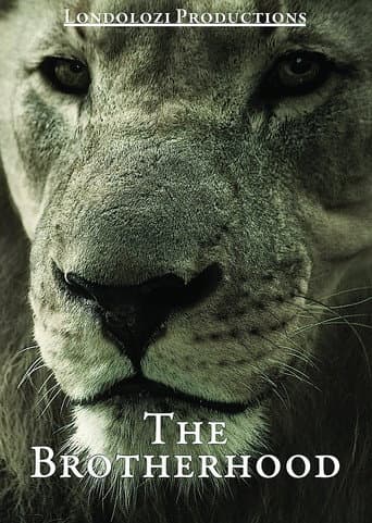 Poster for The Brotherhood