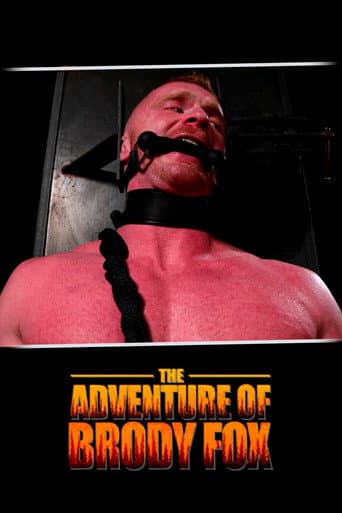 Poster for The Adventure of Brody Fox