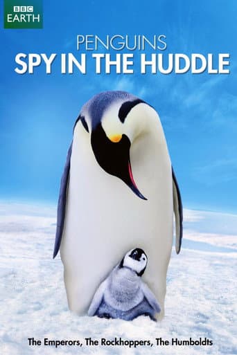Poster for Penguins: Spy in the Huddle