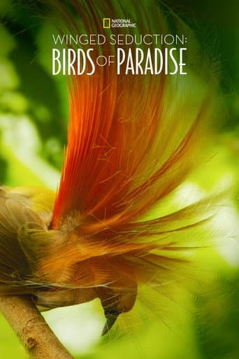 Poster for Winged Seduction: Birds of Paradise