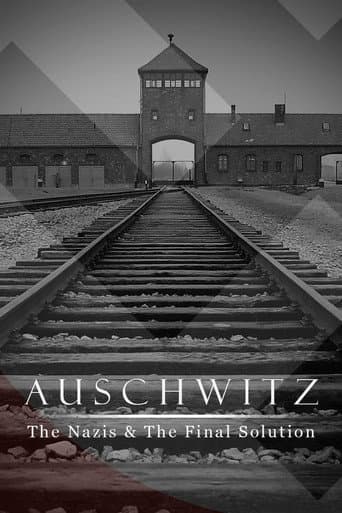Poster for Miniseries
