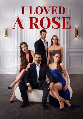 Poster for Ask Yarası