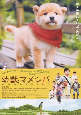 Poster for Mameshiba Cubbish Puppy