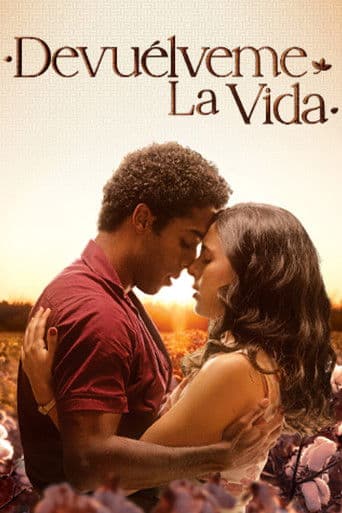 Poster for Love of My Life