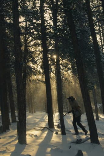 Poster for No Sun on Salvation