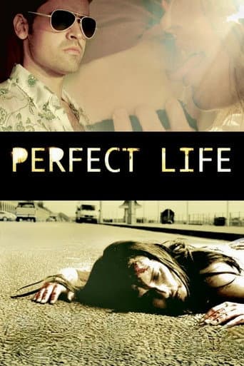 Poster for Perfect Life